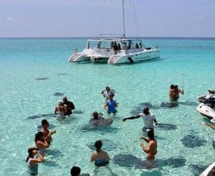 Stingray City. A catamaran anchored in shallow turquoise water, visitors standing waist-deep with the southern stingrays.