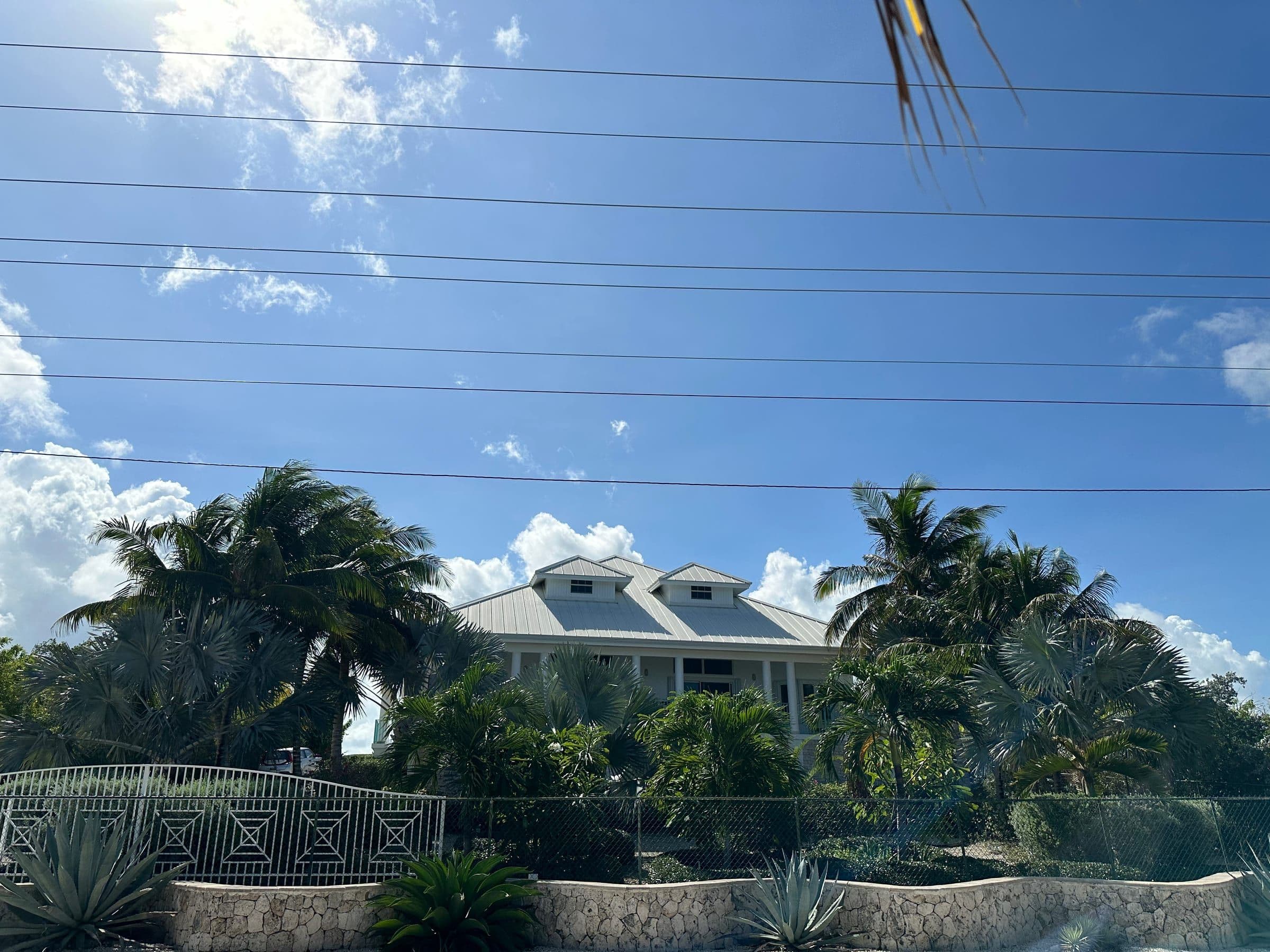Rum Barron framed by palms, the silvered roof rising above the garden