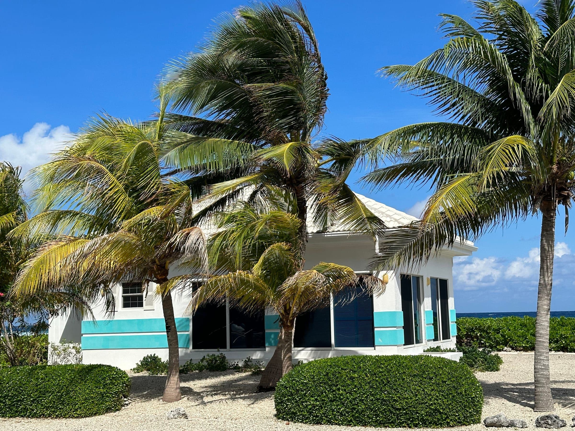 Little Barron. The beachfront cottage with palms blown by the trade wind, ocean to the right.